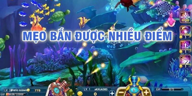 123 win đá gà