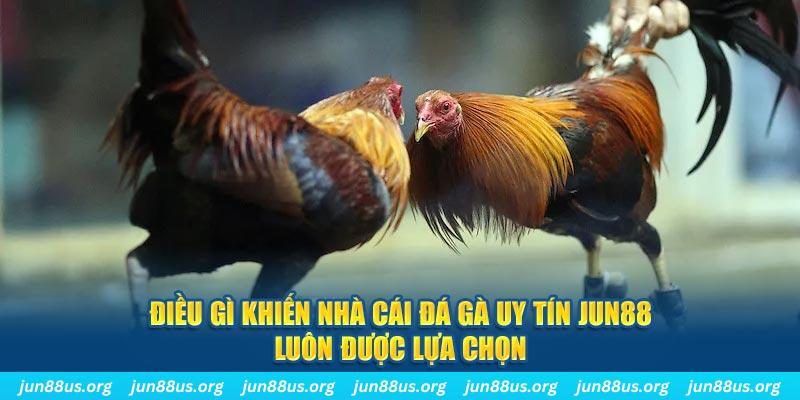 123 win bắn cá 30