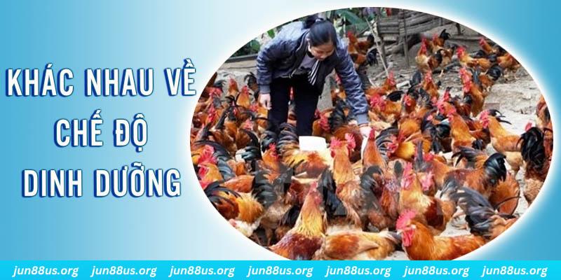 123 win xổ số thứ sáu hàng tuần
