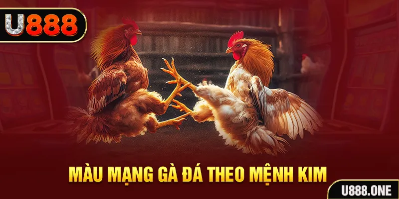 123 win gà chọi tiêu phong