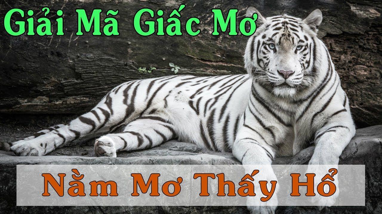 123 win xổ số miền trung