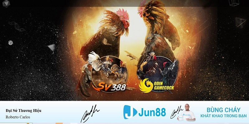 123 win xổ số miền nam hàng tuần