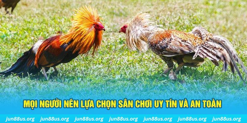 123 win hơn cả bạn bè
