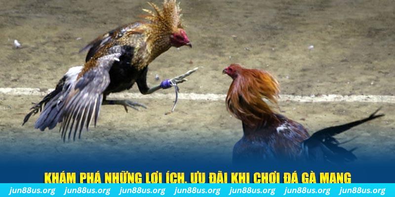 123 win Tài Xỉu 2