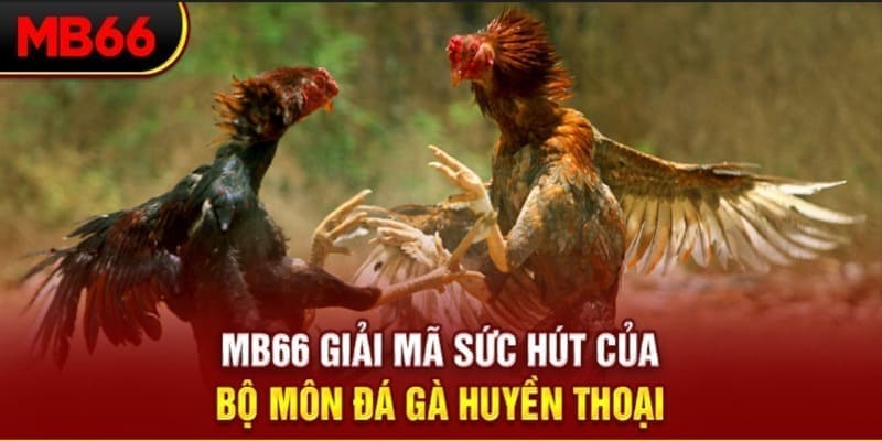 123 win long bảo trong baccarat là gì