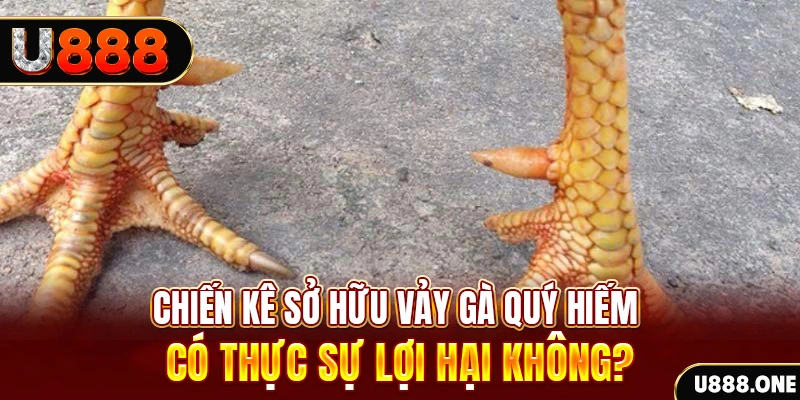 123 win game cá cược máy bay