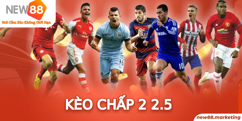 123 win trực tiếp đá gà thomo
