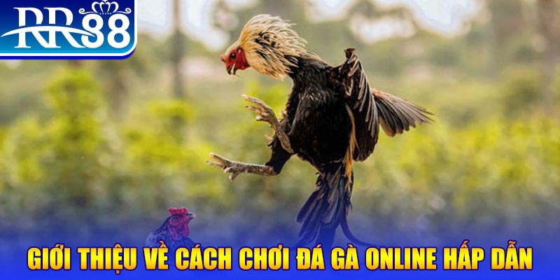 123 win nổ hũ 2 mặt là gì