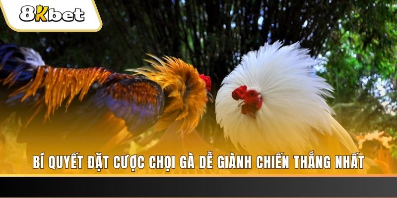 123 win may club nổ hũ