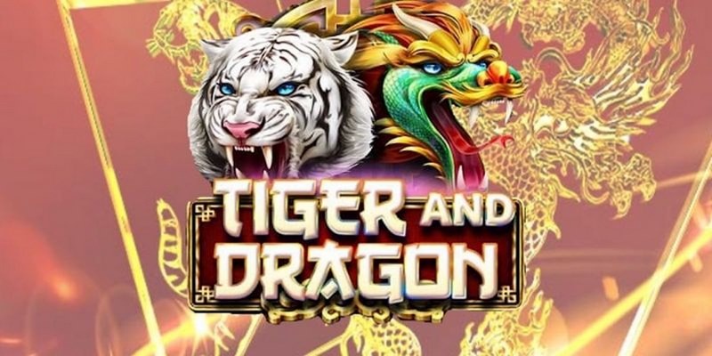 123 win cá cược tiếng anh là gì