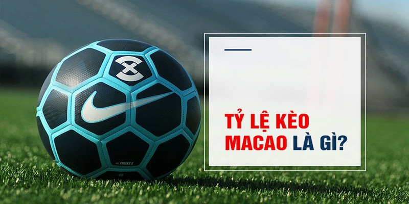 123 win Trăm Knorr