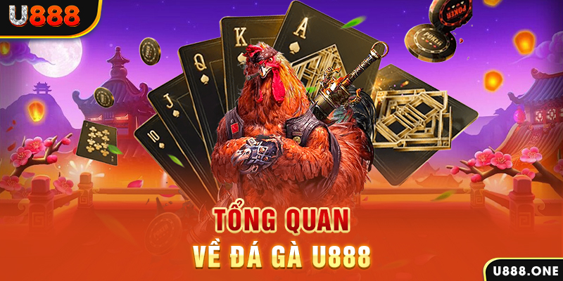 123 win chạy quảng cáo cho game bài bị phạt như thế nào